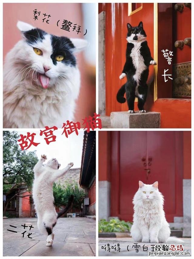 北京春节出游攻略自由行 去北京过年攻略