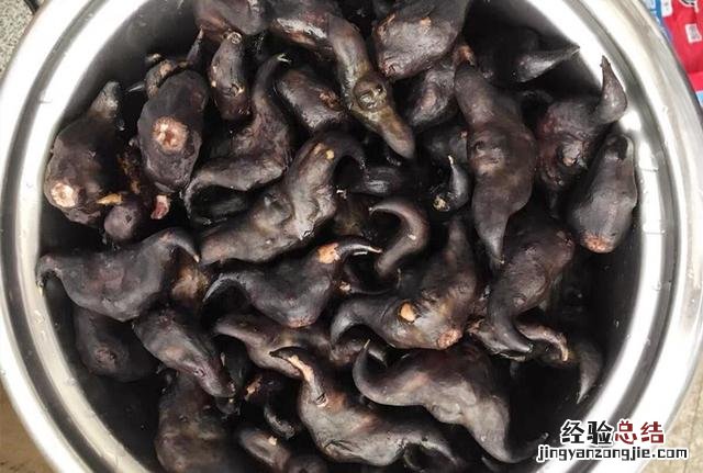 秋天吃核桃栗子不如吃菱角 菱角怎么做好吃又简单