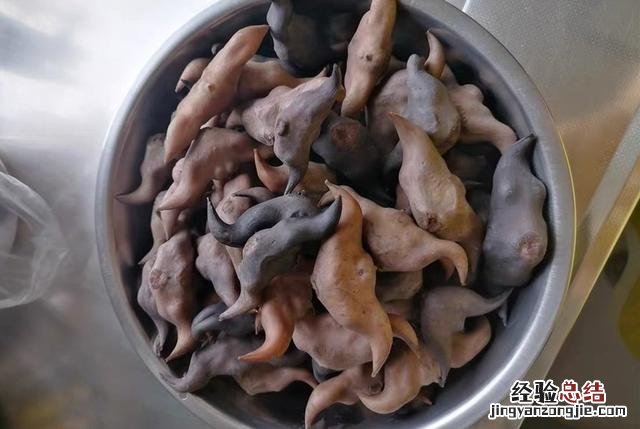 秋天吃核桃栗子不如吃菱角 菱角怎么做好吃又简单