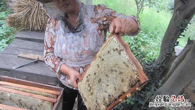 熬蜂蜡的正确方法和步骤 蜂蜡怎么制作的过程