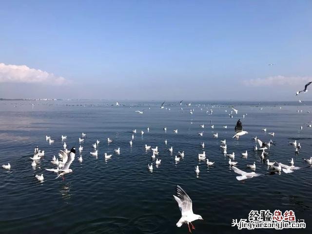 向你推荐的云南旅行攻略 云南旅行攻略