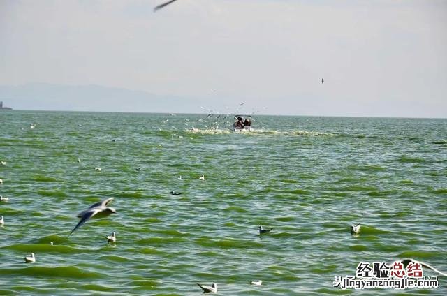 向你推荐的云南旅行攻略 云南旅行攻略