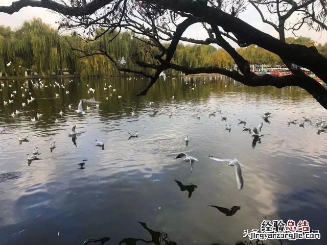 向你推荐的云南旅行攻略 云南旅行攻略