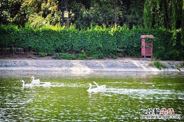 西安汉城湖旅游攻略 西安汉城湖景区简介