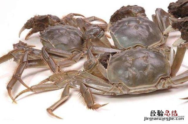 活螃蟹最忌直接放冰箱保存 活螃蟹的储存方法