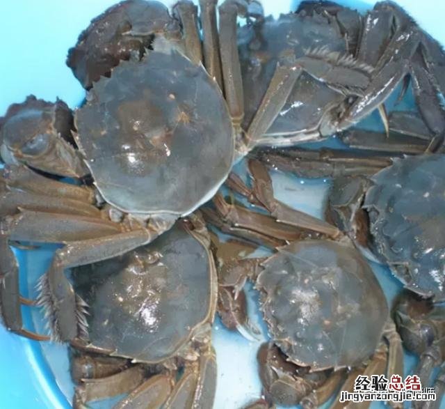 活螃蟹最忌直接放冰箱保存 活螃蟹的储存方法