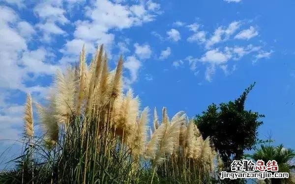 西昌邛海湿地旅游全攻略 邛海游玩攻略必去景点