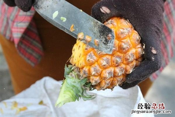 菠萝用盐水泡可以去除酸味 菠萝为什么要泡盐水