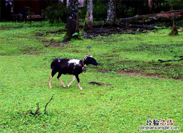 丽江玉龙雪山旅游攻略大全 玉龙雪山什么季节去最合适