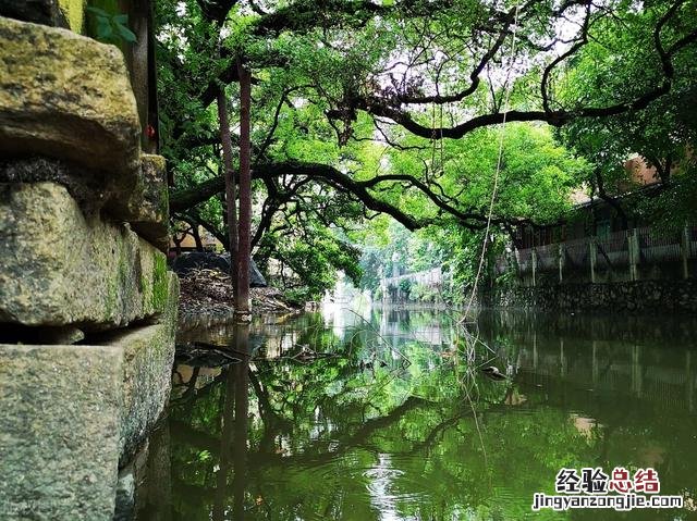 一定不要错过广州最值得去的10大景点 广州游玩攻略必去的地方