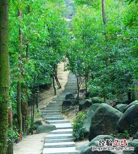广州12个特色免费景点 广州打卡必去的地方