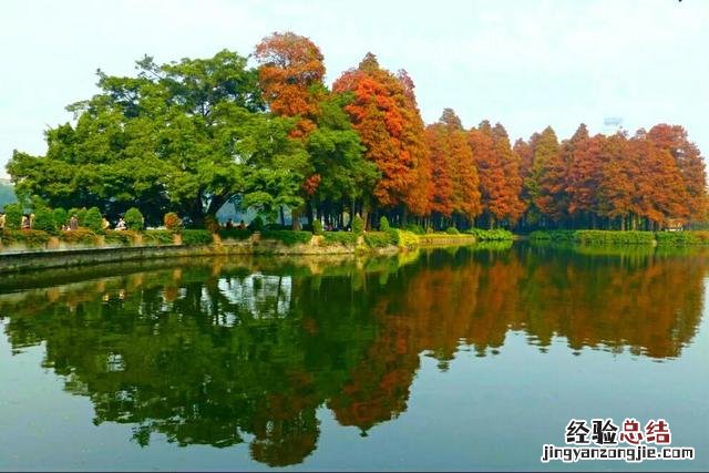 广州12个特色免费景点 广州打卡必去的地方