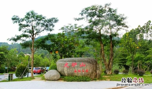 广州12个特色免费景点 广州打卡必去的地方