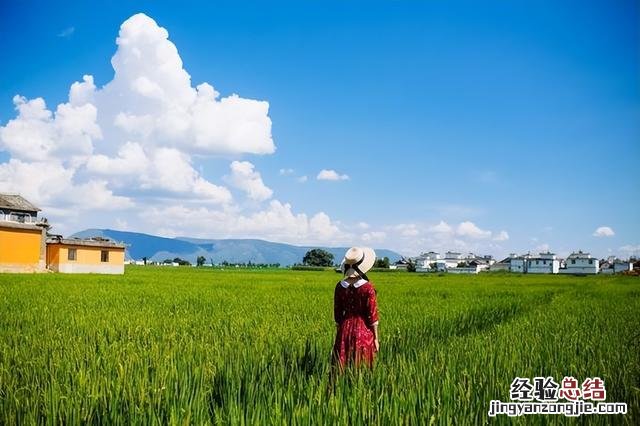 云南自由行五日游经典线路推荐 游玩攻略自由行