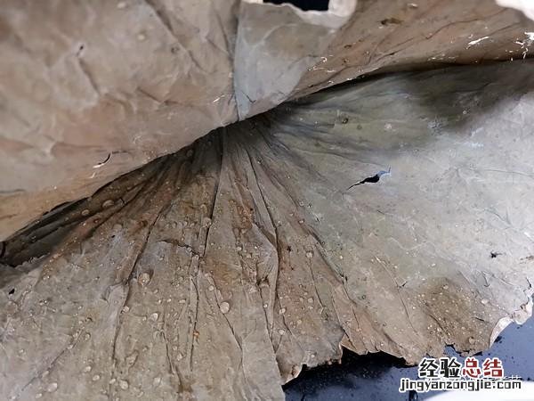 清蒸红鲟蟹的做法 红鲟蟹怎么蒸好吃又简单