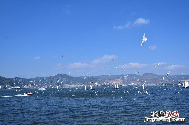 昆明一日游最佳方案路线 昆明经典一日游路线