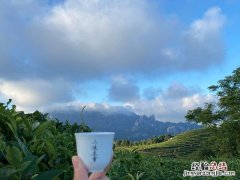 六大茶类储存茶叶最好的方法 茶叶怎么储存比较好