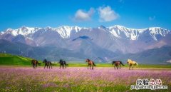 人生必须去的中国几个景点 现在适合旅游的地方是哪里