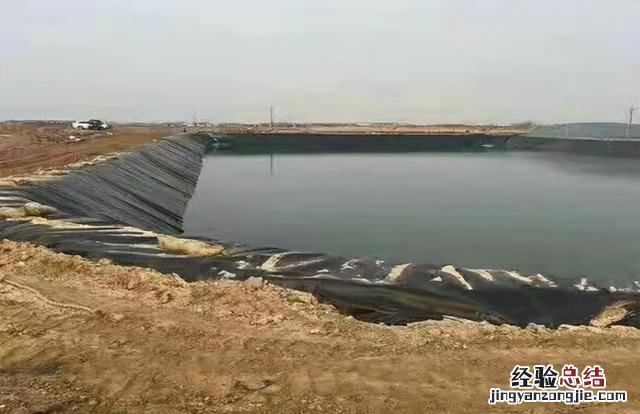 鲤鱼的养殖方法与注意事项 养鲤鱼的方法和技巧