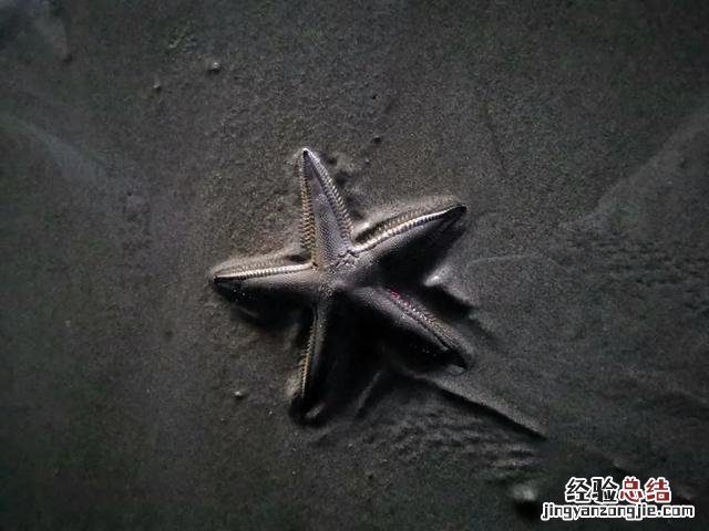 只看这篇文章就足够了 北海涠洲岛一日游攻略