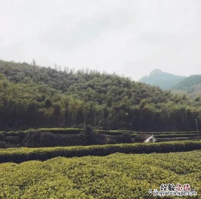 江浙沪冬天最值得去的地方是哪里 浙江省内冬天去哪里旅游比较好