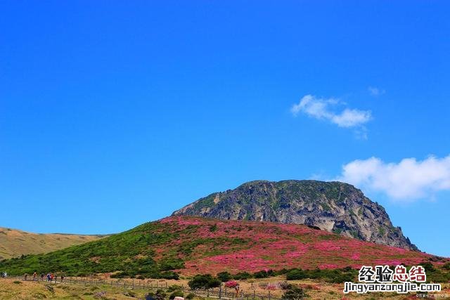 昆明本地人常去的景点TOP10 昆明旅游必去十大景点推荐