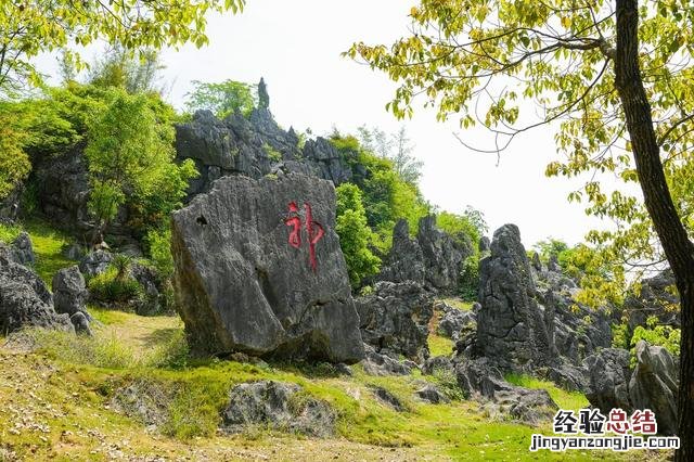 广东最好玩的22个旅游景点排名 广州玩的地方有哪些地方