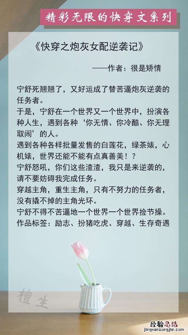 质量上乘的快穿文 年代文快穿小说推荐