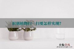 两种办法让你快速识别 植物识别扫一扫免费