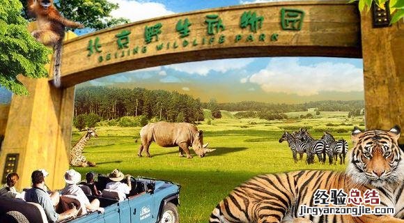 去北京旅游必去的十大景点推荐 北京必去的十大景点有哪些