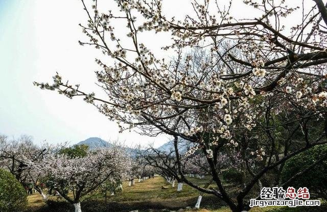 苏州必去的十大景点是哪些地方 苏州必去景点排名