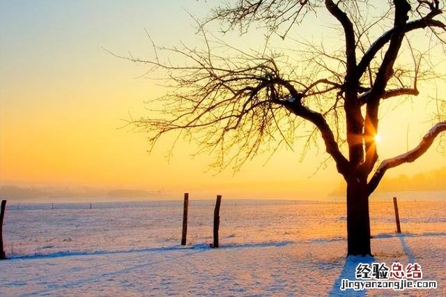 最新人生感悟的经典短句子 人生历程的感悟语录