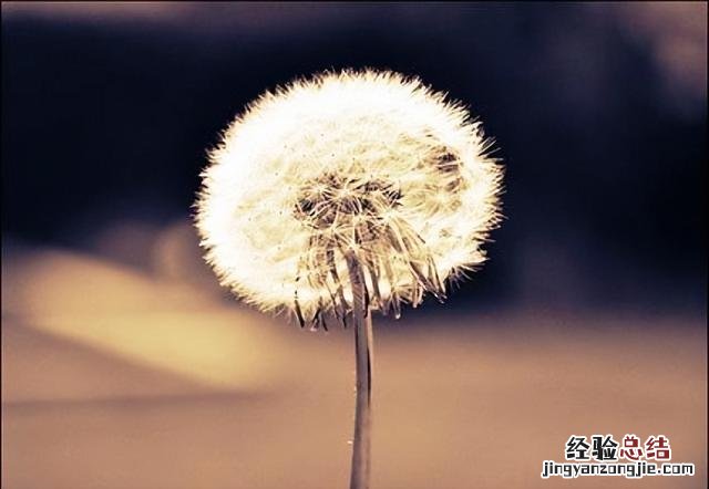 最新人生感悟的经典短句子 人生历程的感悟语录