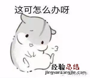 忘记windows电脑开机密码了怎么办 电脑密码忘了怎么解锁