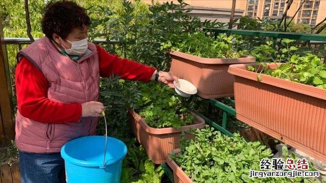 老农却用它种菜种花 小苏打做馒头正确的使用方法