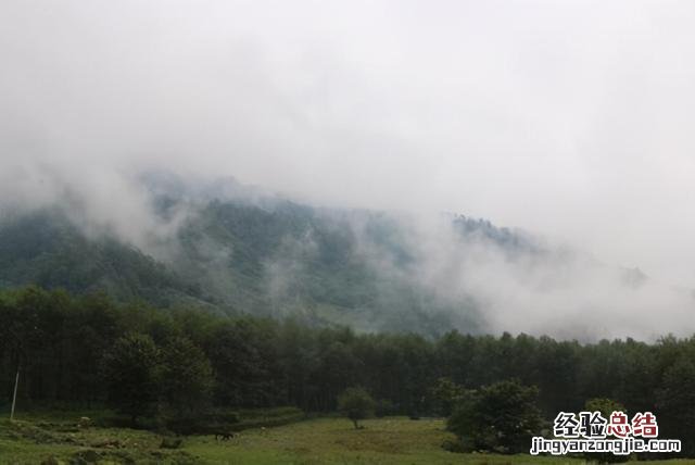 春天旅游好去处推荐 春游去哪里好玩理由