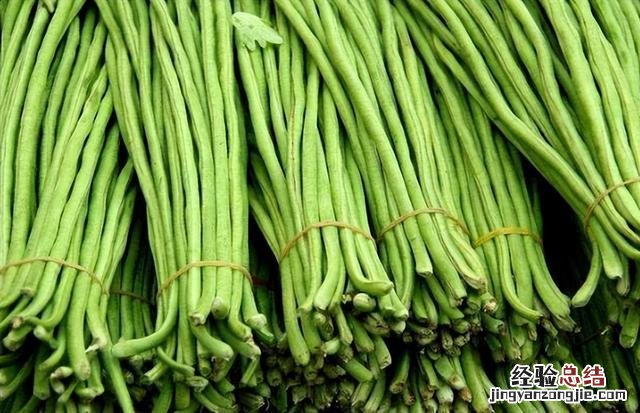芒种前后可以种什么蔬菜 热天种什么菜不怕热