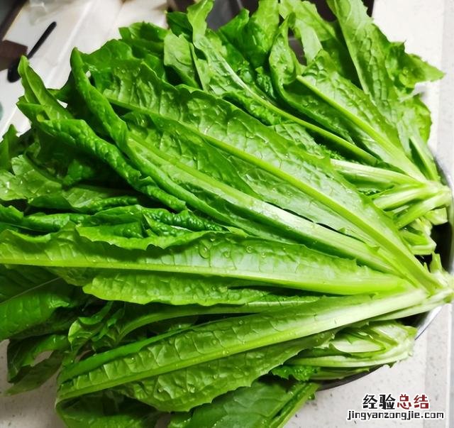 芒种前后可以种什么蔬菜 热天种什么菜不怕热