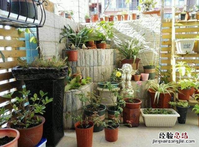 小苏打能消灭花盆里的虫子吗 小苏打杀虫最佳配方