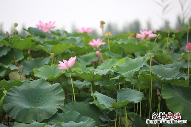 河北省旅游攻略必去景点大全 河北好玩的旅游景点