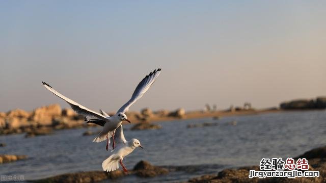 河北省旅游攻略必去景点大全 河北好玩的旅游景点