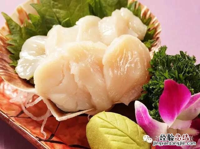 各种贝类海鲜大全图解 25种贝壳类海鲜