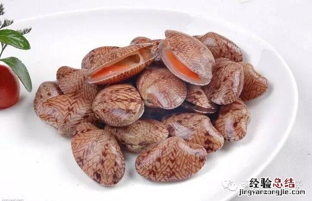 各种贝类海鲜大全图解 25种贝壳类海鲜
