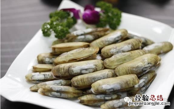各种贝类海鲜大全图解 25种贝壳类海鲜