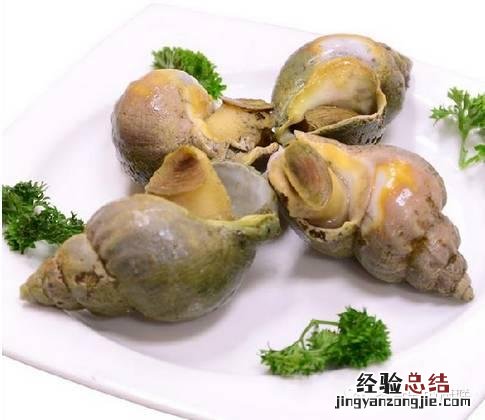各种贝类海鲜大全图解 25种贝壳类海鲜