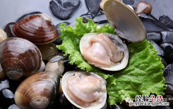 各种贝类海鲜大全图解 25种贝壳类海鲜
