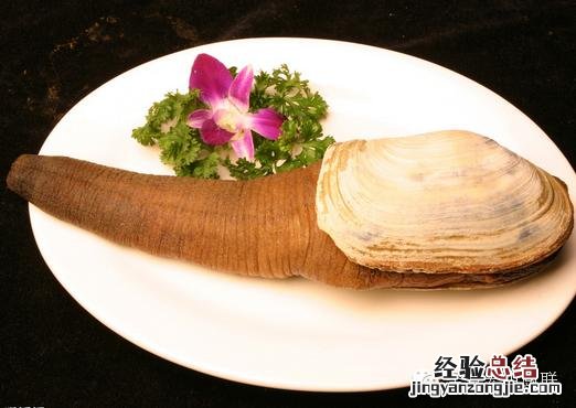 各种贝类海鲜大全图解 25种贝壳类海鲜