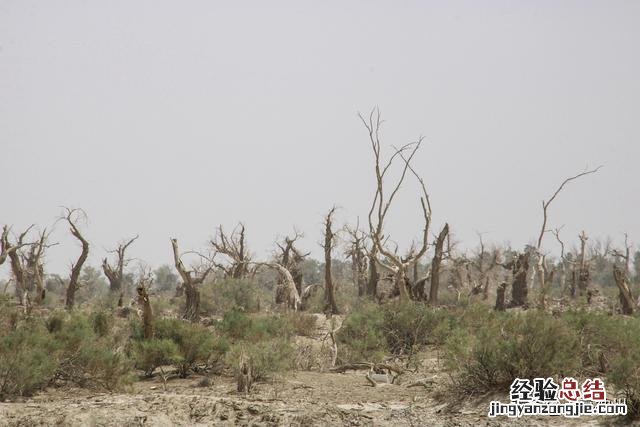 新疆自驾完美路线 新疆游玩路线推荐