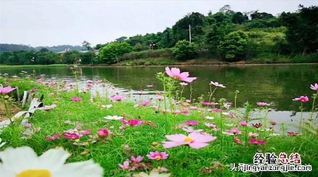 重庆主城游玩攻略必去景点有哪些 重庆主城区十大景点推荐