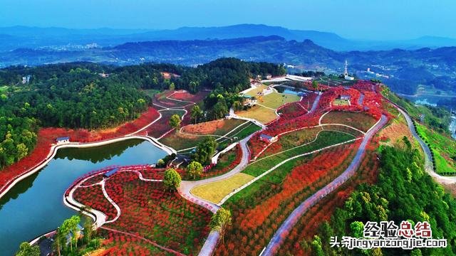 重庆主城游玩攻略必去景点有哪些 重庆主城区十大景点推荐